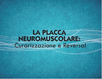 LA PLACCA NEUROMUSCOLARE: CURARIZZAZIONE E REVERSAL