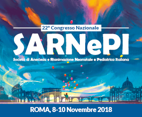 22° SARNePI